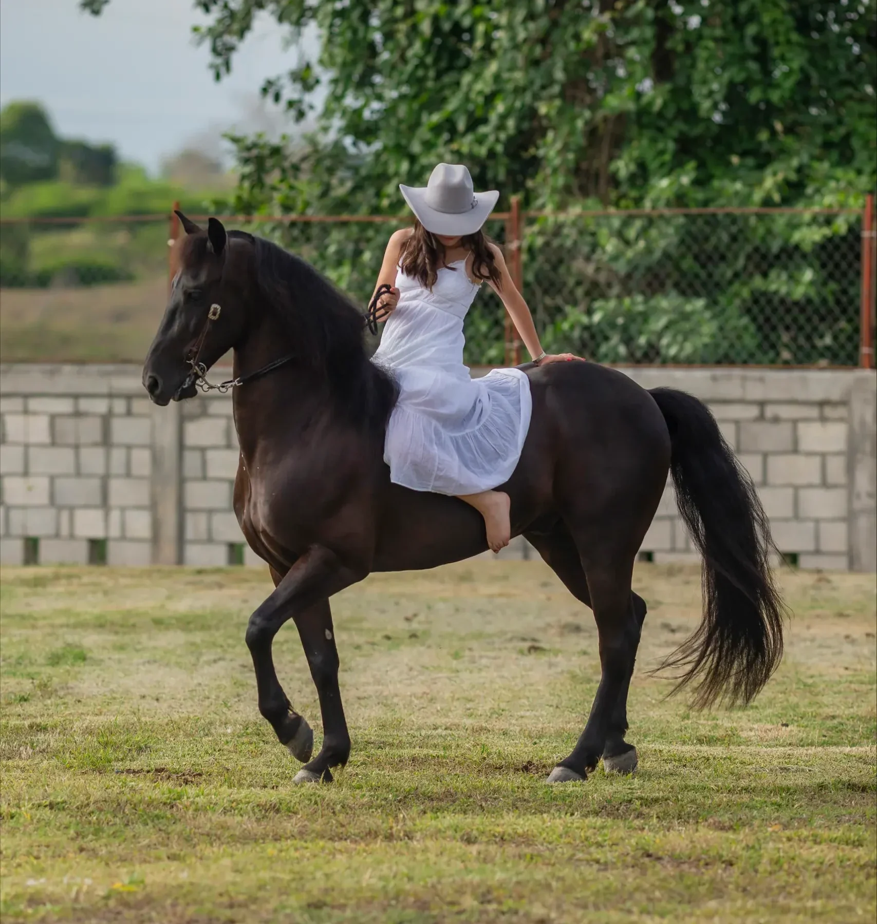 processed-A0790897-66B2-4DD3-BDC6-837F59C3CB8C
